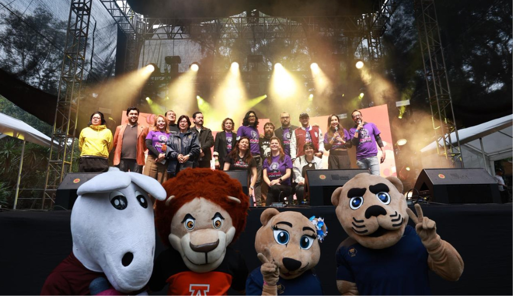 Festival Sinergia 25