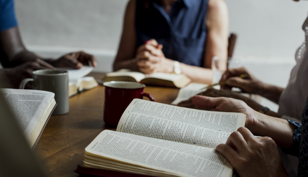 Círculo de Biblia Anáhuac Senior