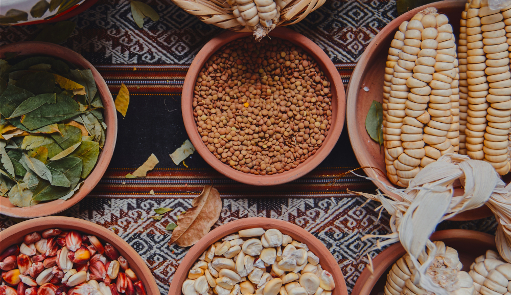 Curso Cultura Gastronómica de México Anáhuac Senior