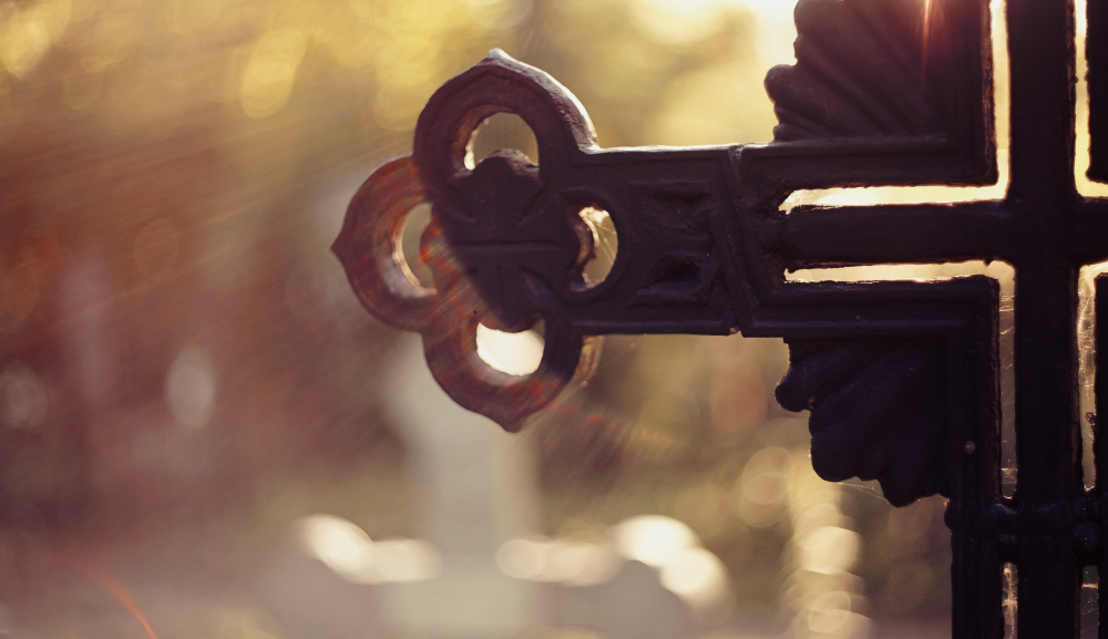 Retiros Anáhuac Senior