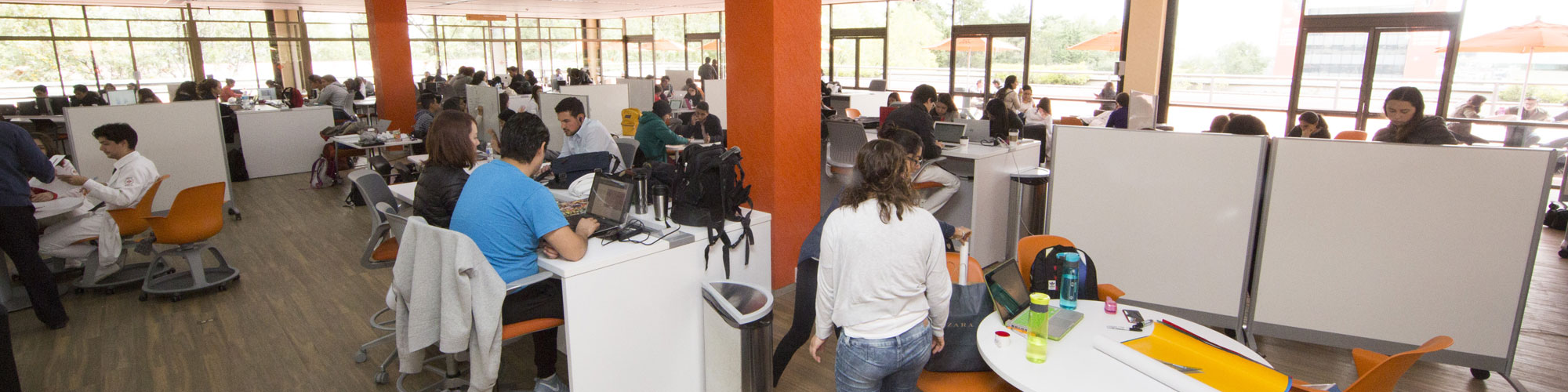 Reglamento Biblioteca