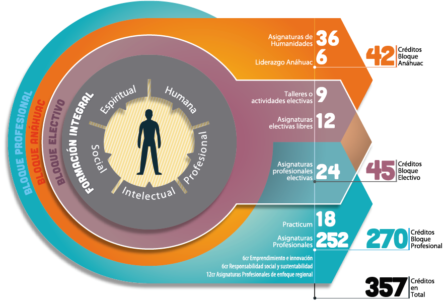 Mapa curricular 2016