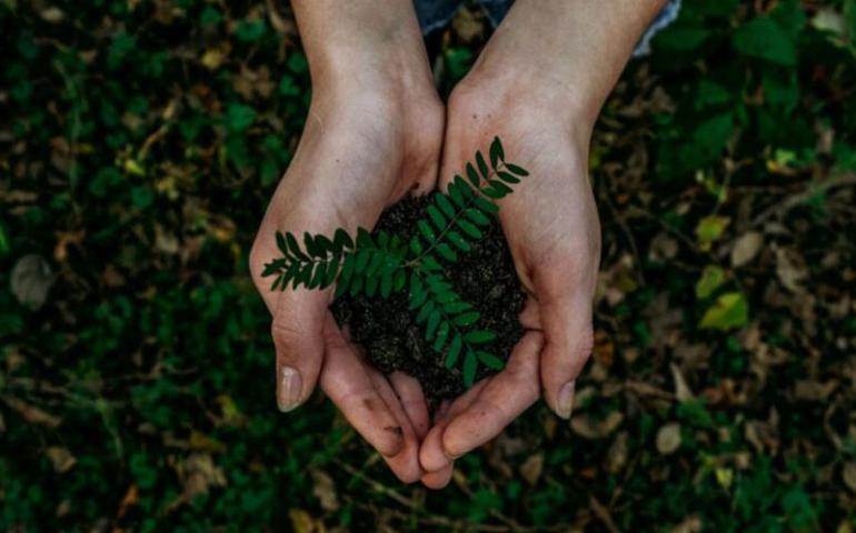 Hacia una empresa más sustentable