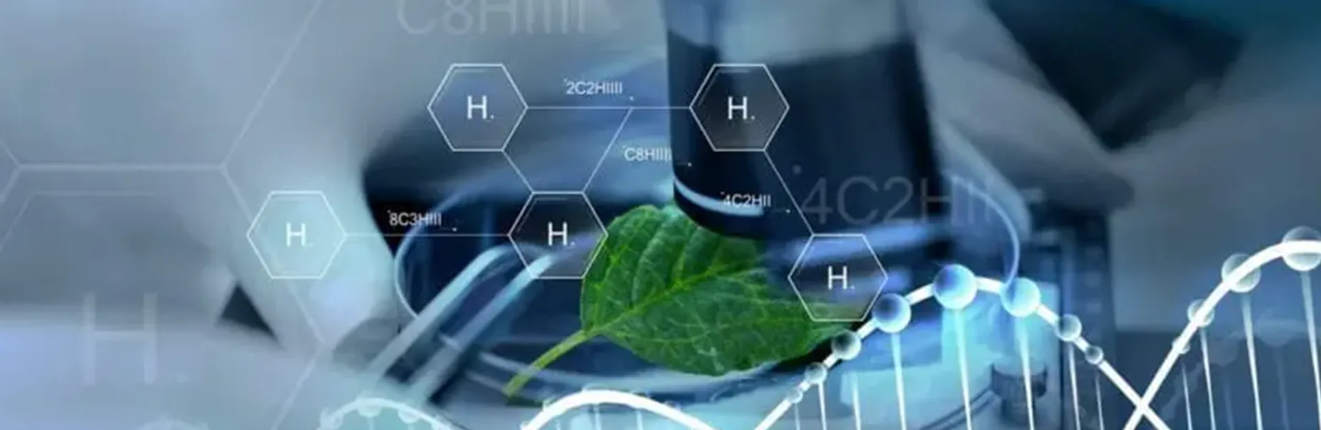 <span>Doctorado en Bioética Aplicada</span>