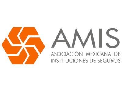 logo-AMIS